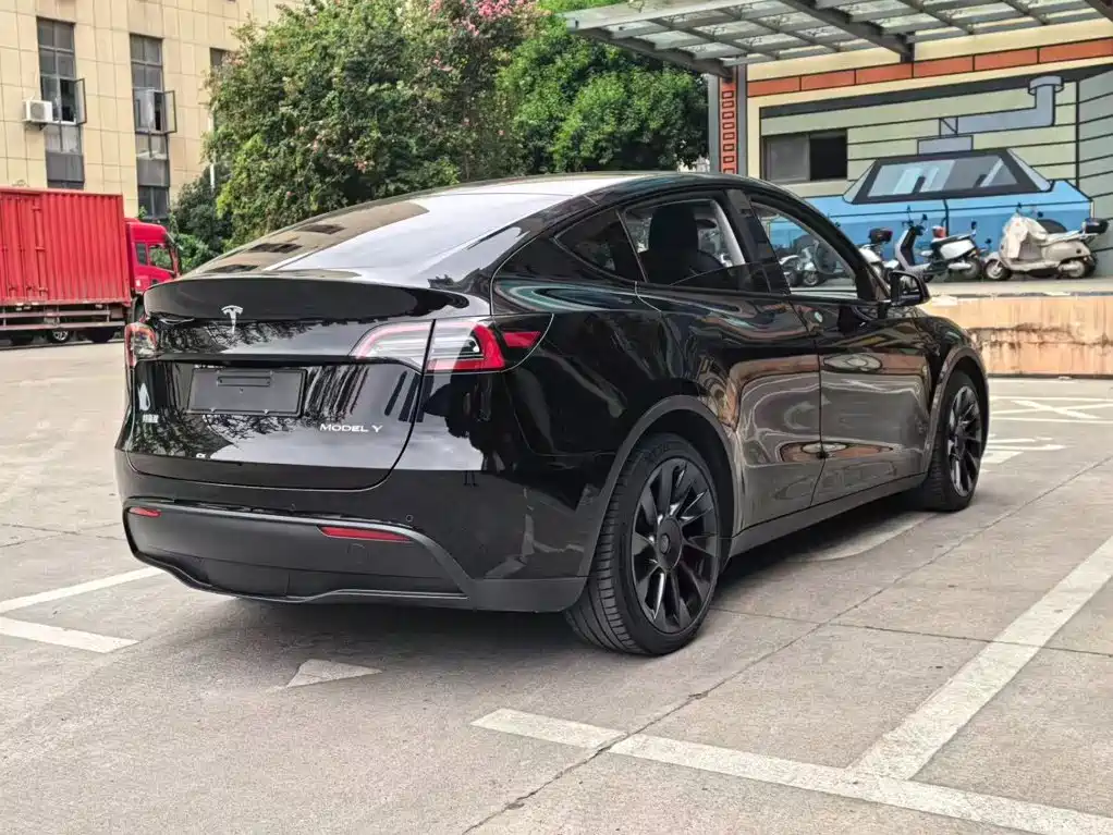 Tesla Model Y — миниатюра 16