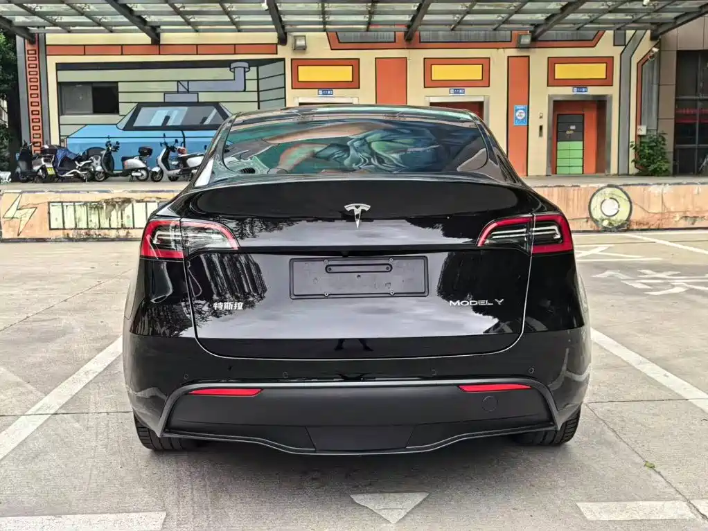 Tesla Model Y — миниатюра 15