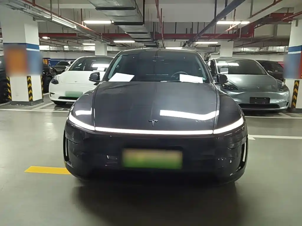 Tesla Model Y — миниатюра 3