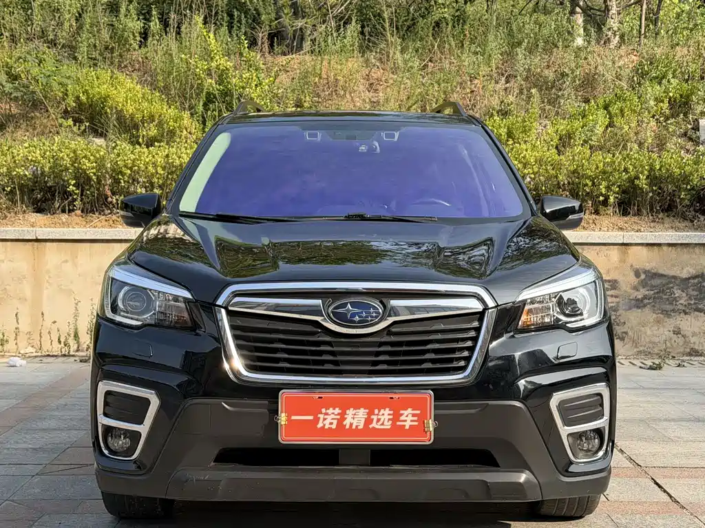 Subaru Forester — миниатюра 2
