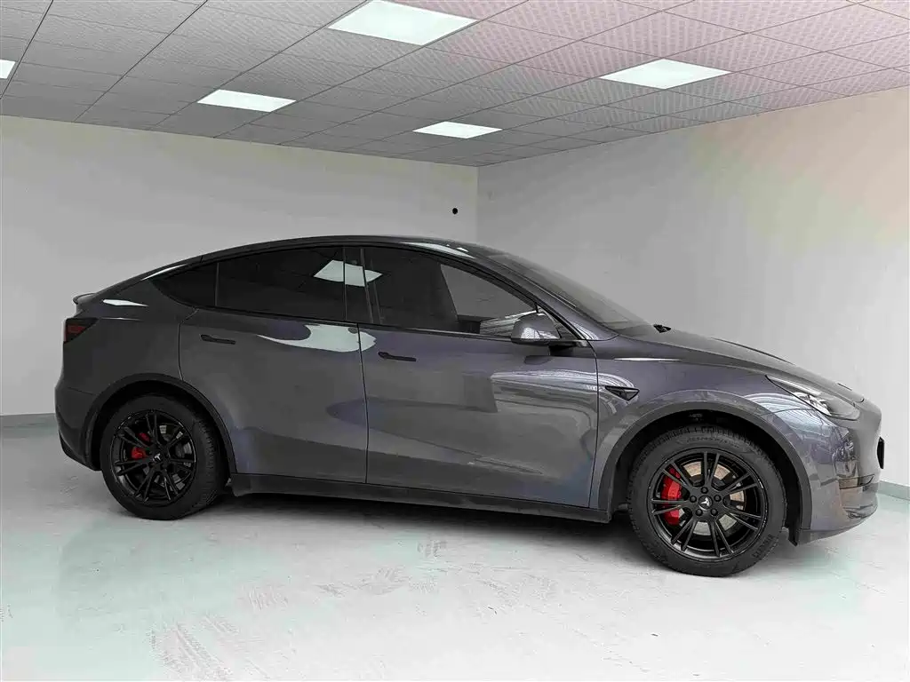 Tesla Model Y — миниатюра 3
