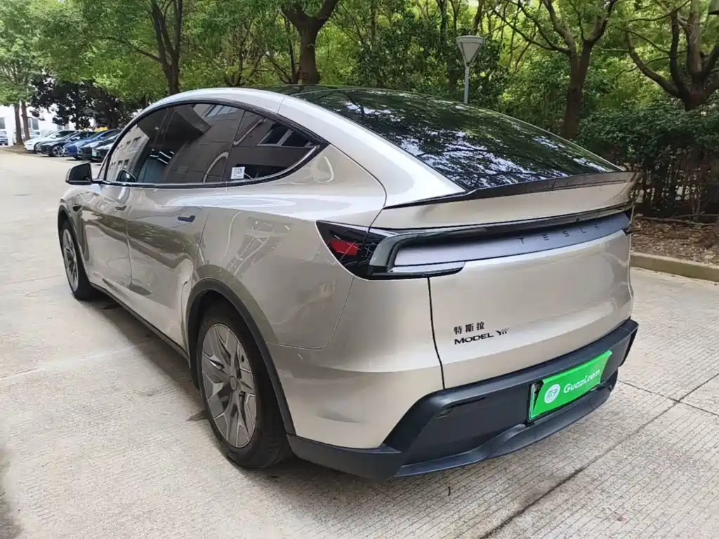 Tesla Model Y L — миниатюра 5