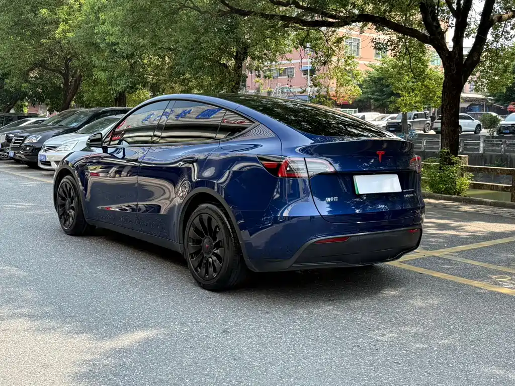Tesla Model Y — миниатюра 2