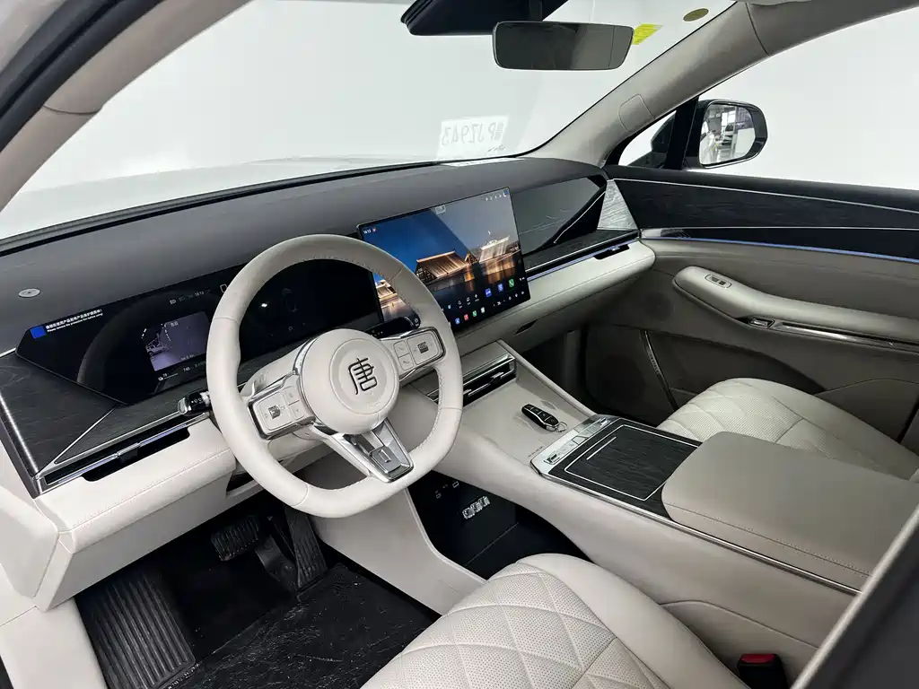 BYD Datang — миниатюра 14