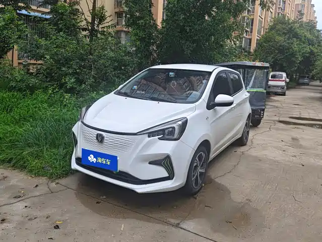 2021 Changan Benni EC/EV