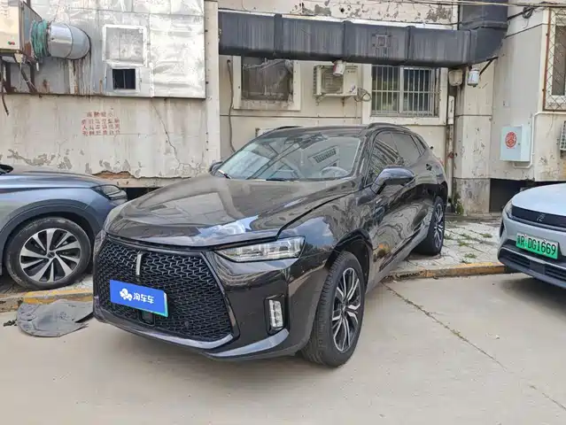 2019 Wey P8