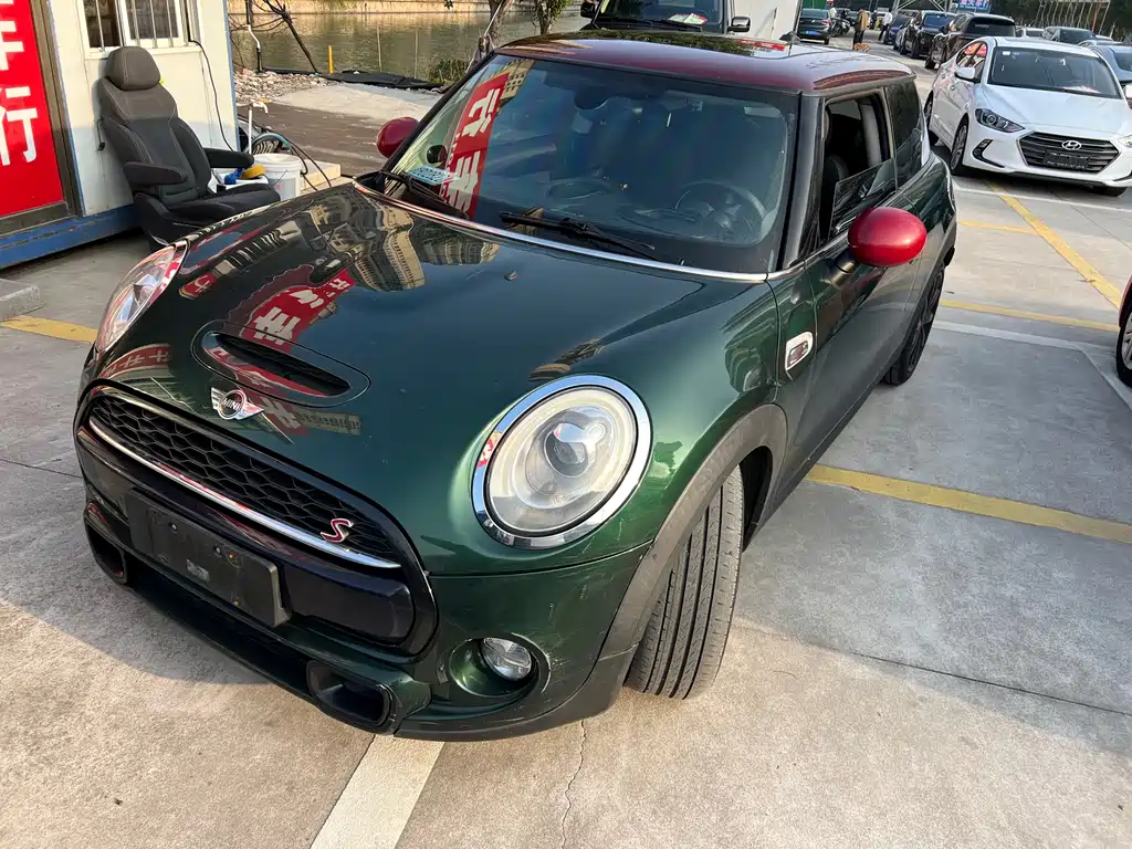 Mini Mini 2017