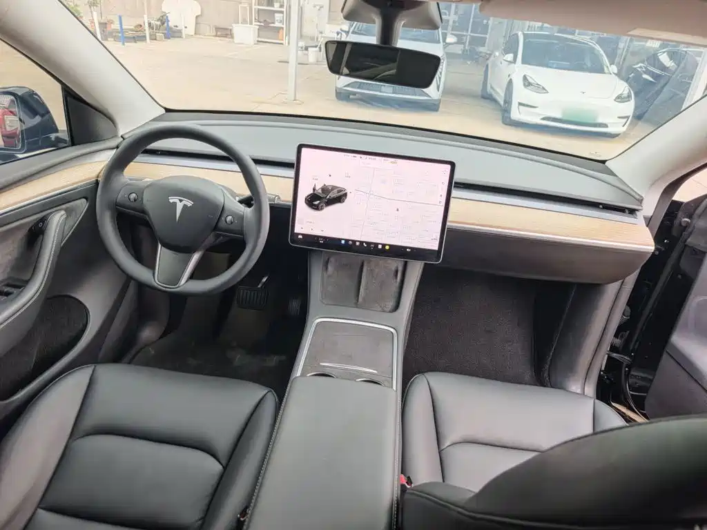 Tesla Model Y — миниатюра 12