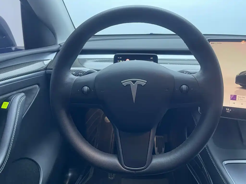 Tesla Model Y — миниатюра 16