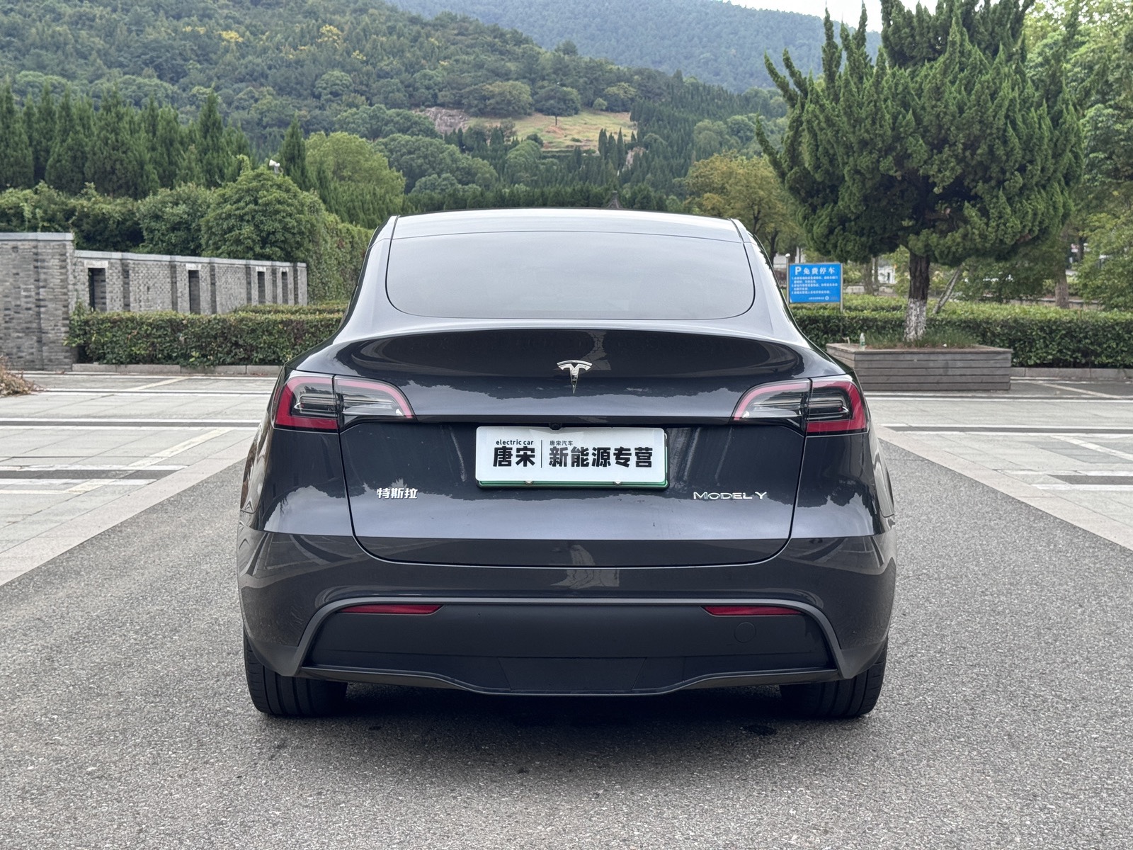 Tesla Model Y — миниатюра 6
