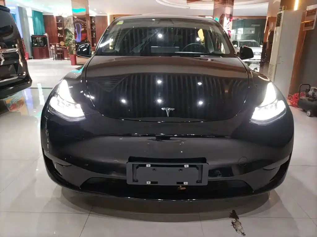Tesla Model Y — миниатюра 3