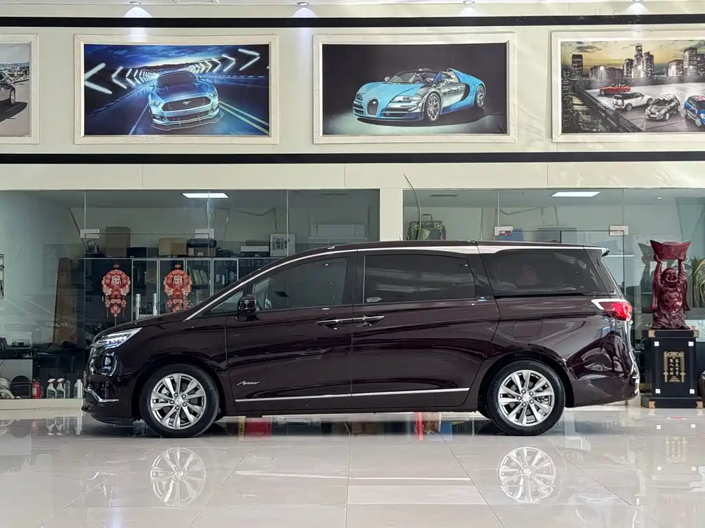 Buick GL8 — миниатюра 15