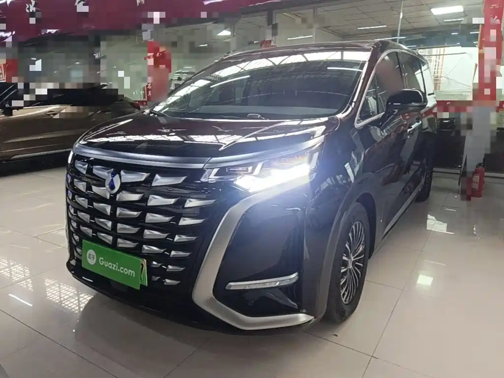 Denza Denza D9 — миниатюра 2
