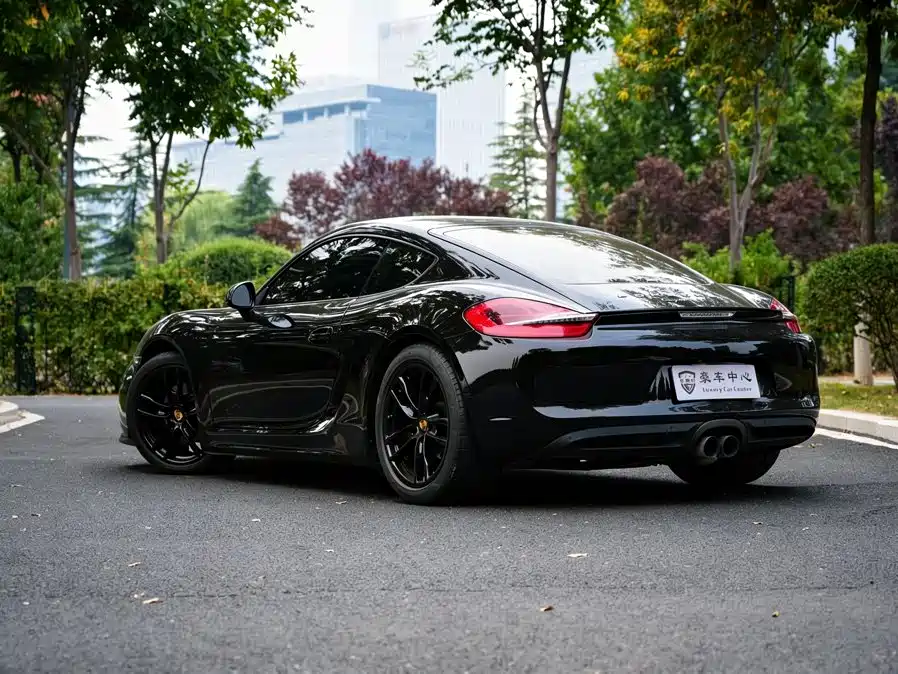 Porsche Cayman — миниатюра 10