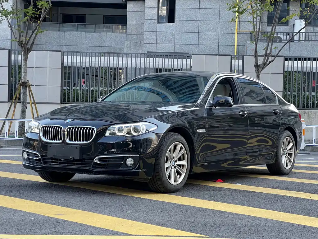 BMW 5 Series 5 2011 523Li Luxury