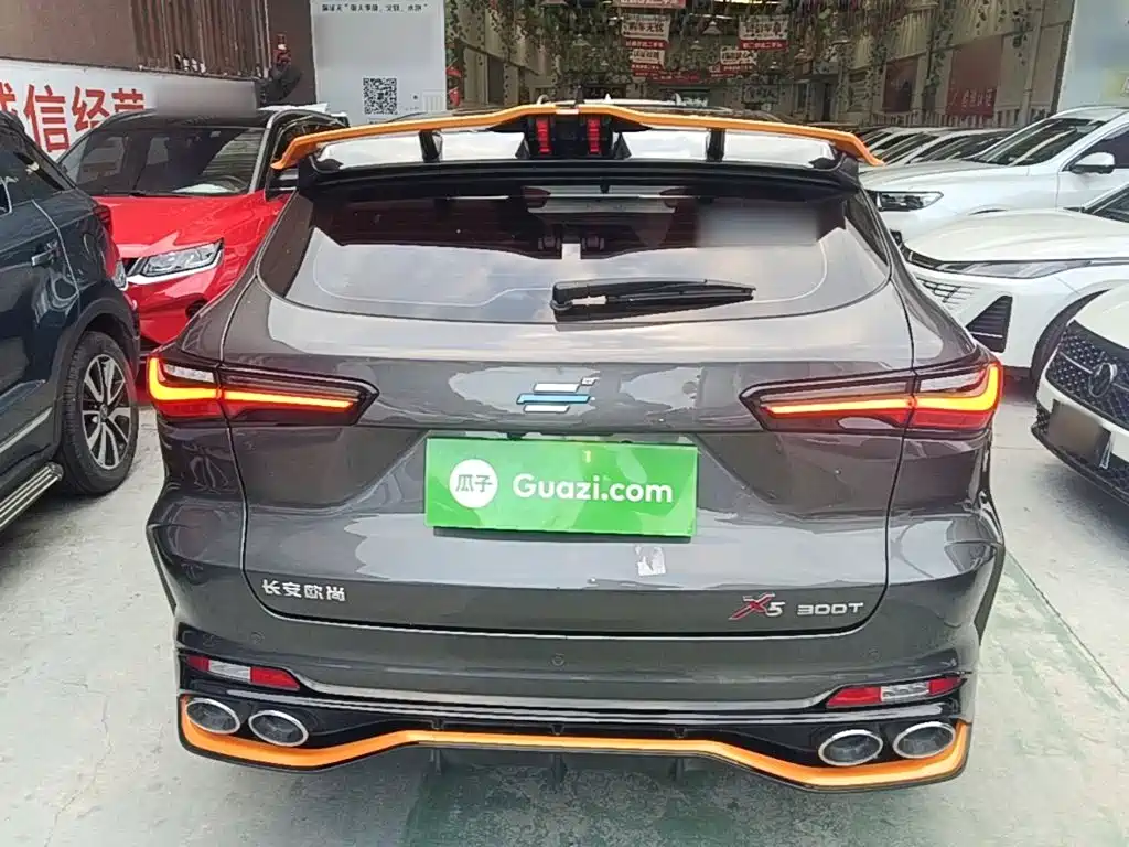 Oshan Oushang X5 — миниатюра 6