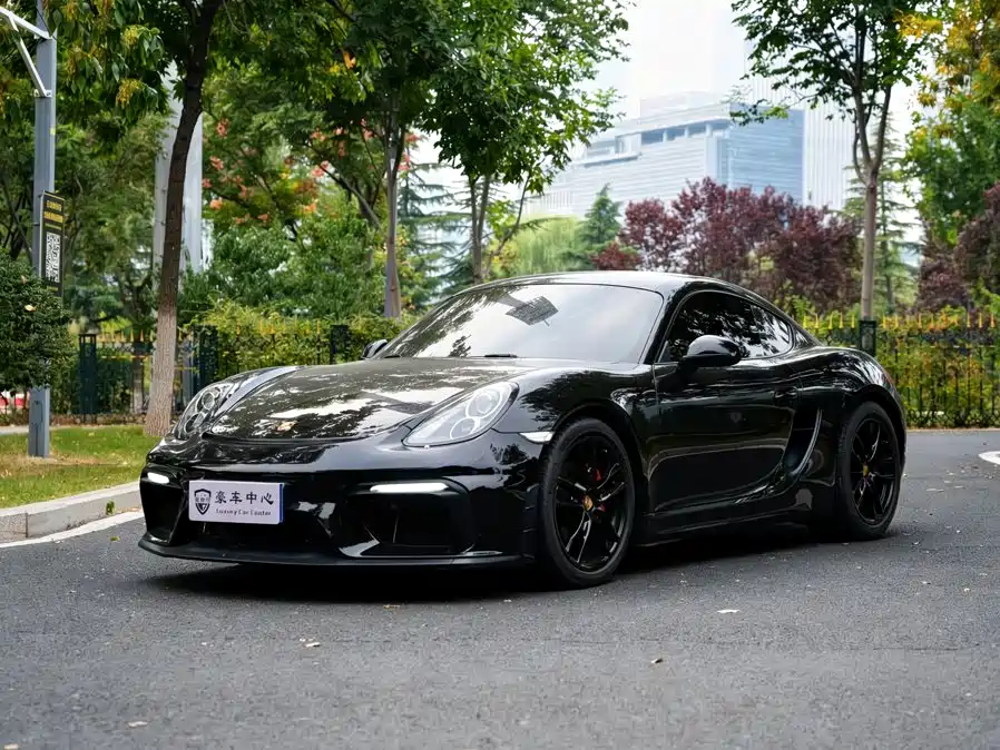 Porsche Cayman — миниатюра 8