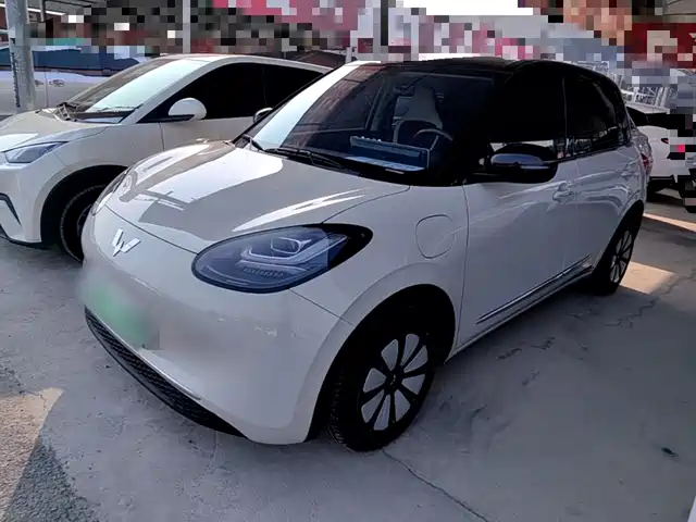 Wuling Bingo