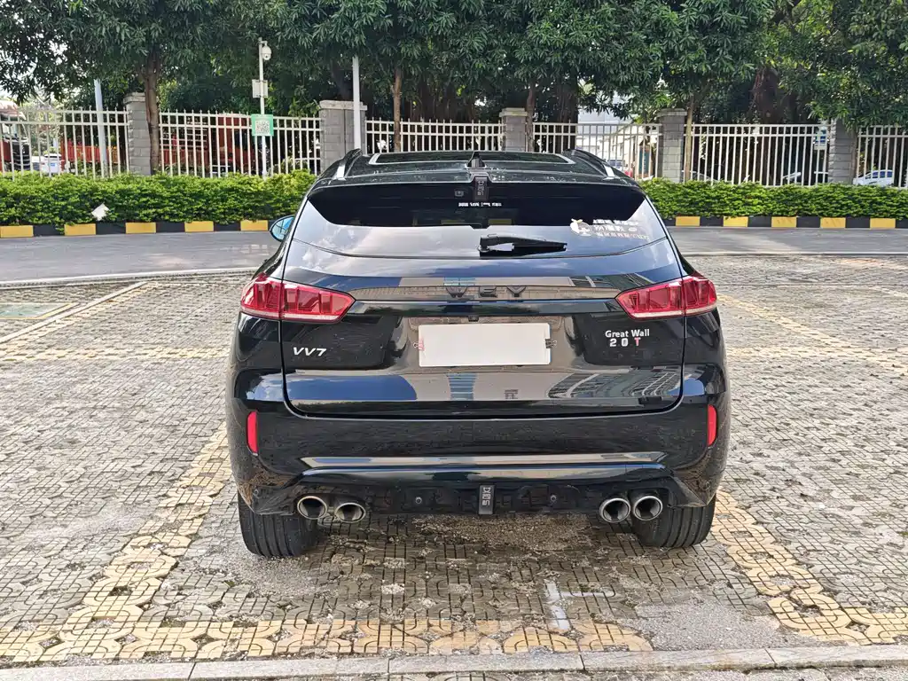 WEI PAI WEI BRAND VV7