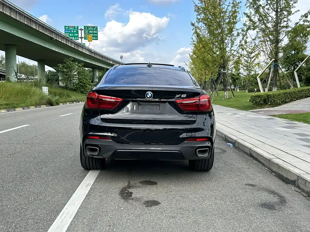 BMW X6 — миниатюра 16