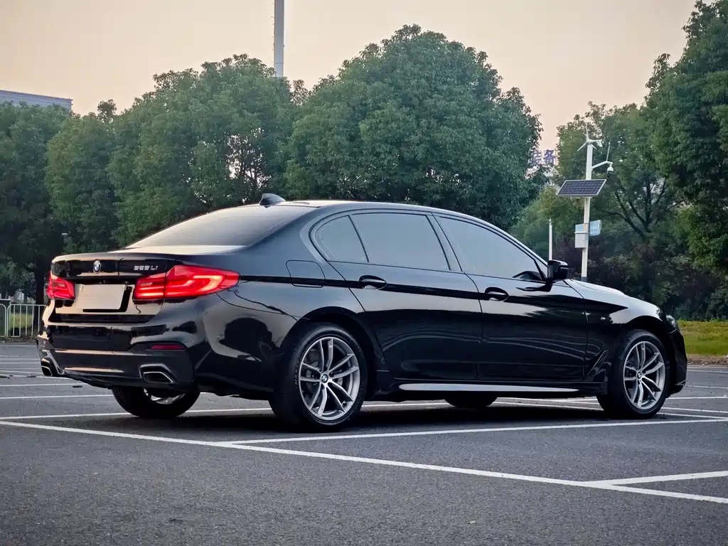 BMW 5 Series — миниатюра 7