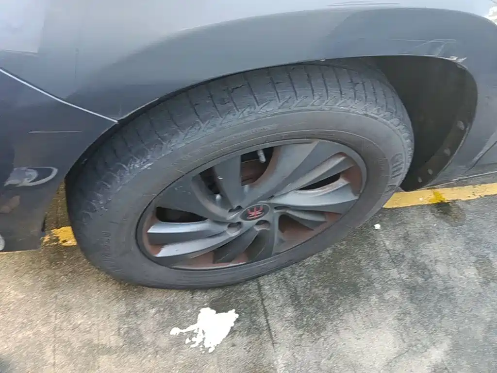 BYD Song — миниатюра 23