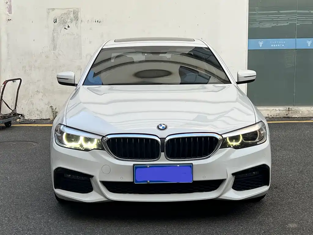 BMW 5 Series (Import) — миниатюра 11