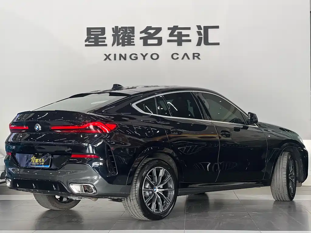 BMW X6