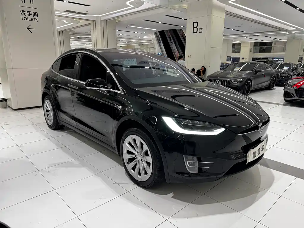 Tesla Model X — миниатюра 13