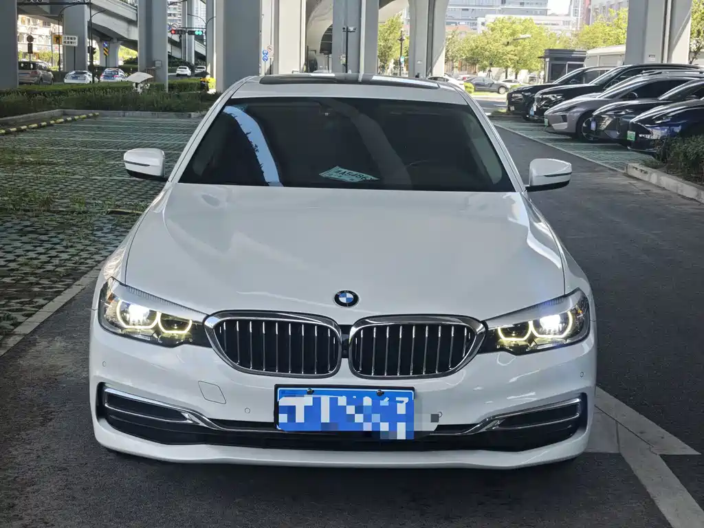 BMW 5 Series 5 2020 525Li Luxury