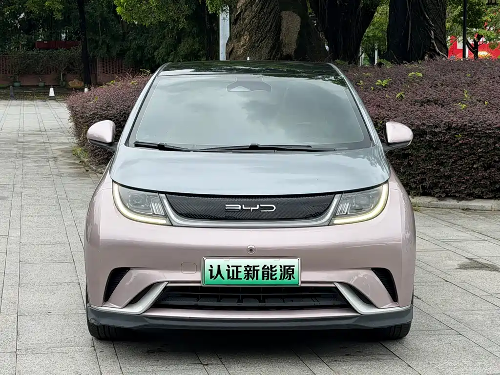 BYD Dolphin — миниатюра 2