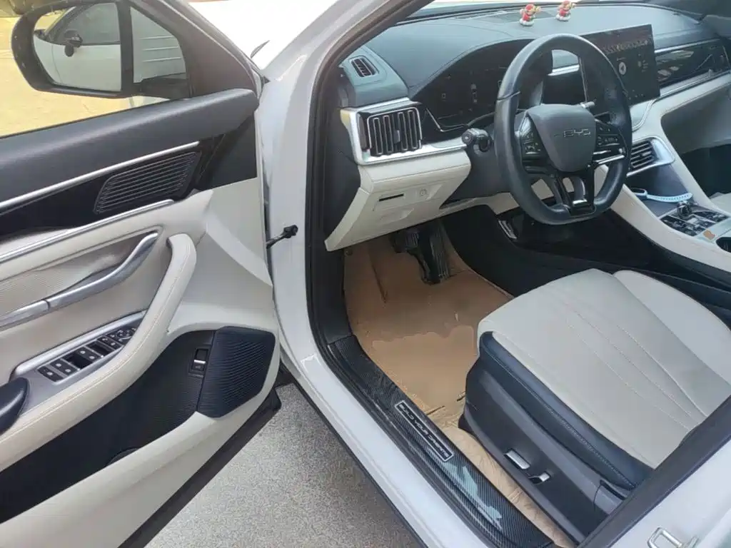 BYD PLUS New Energy — миниатюра 16