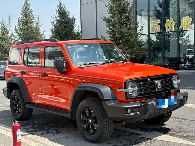 2025 TANK 300
