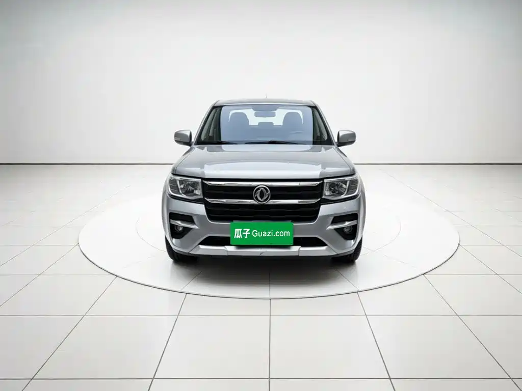 Dongfeng Rich — миниатюра 24