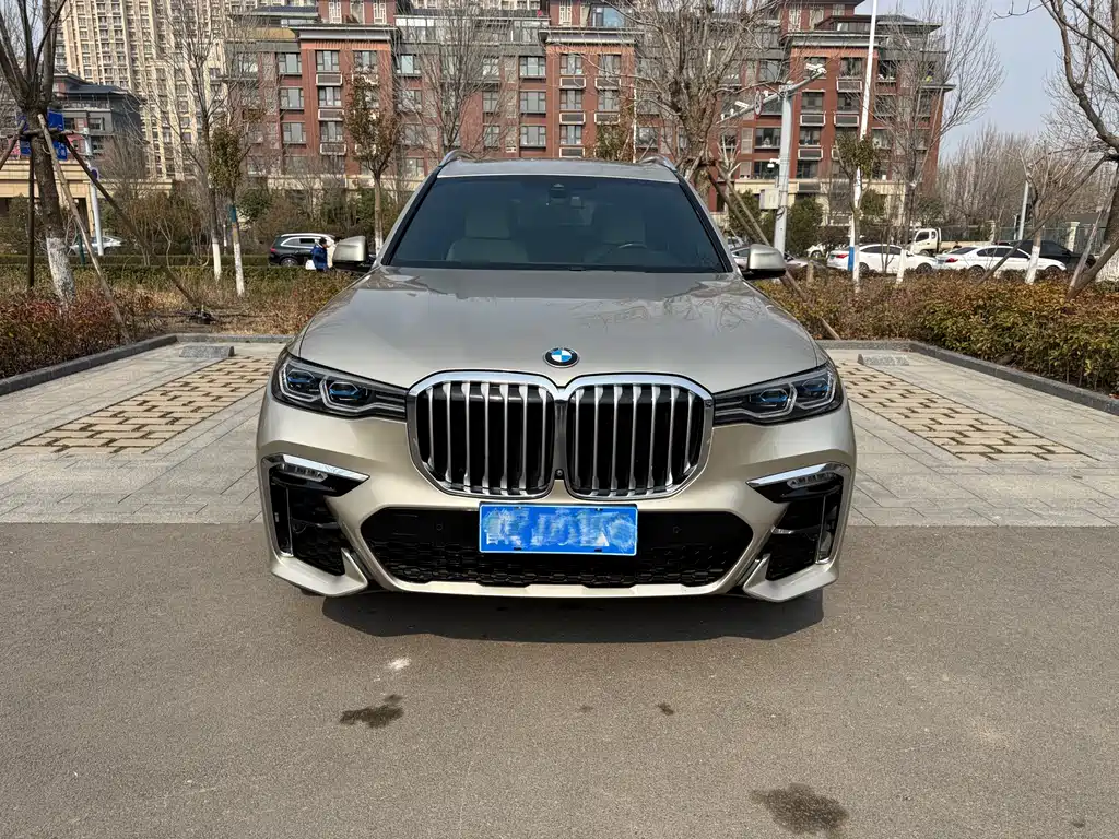 BMW X7 2019 xDrive40i Executive M Sport