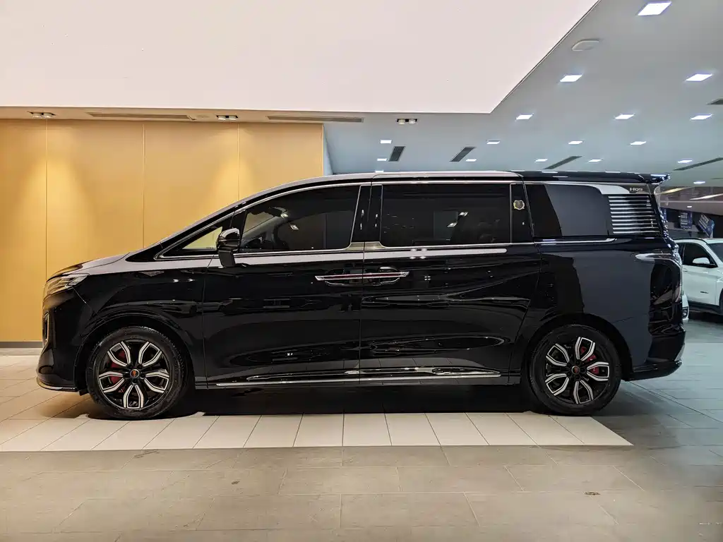 Hongqi Hongqi HQ9 — миниатюра 6