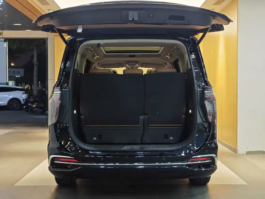 Hongqi Hongqi HQ9 — миниатюра 30
