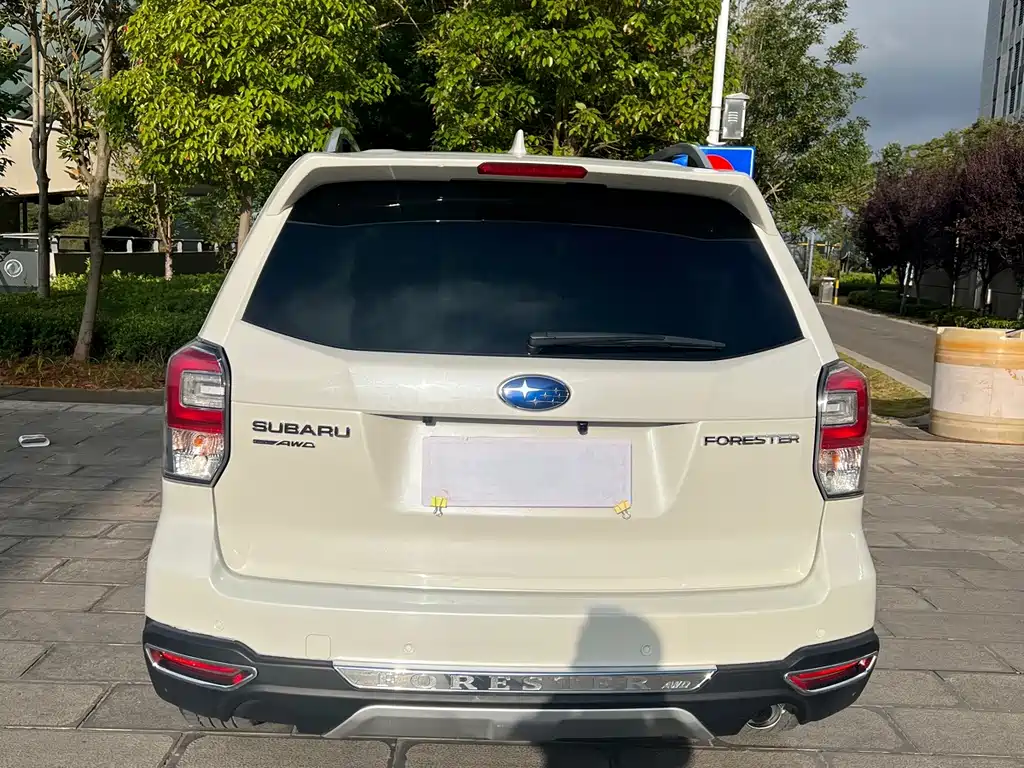 Subaru Forester — миниатюра 10