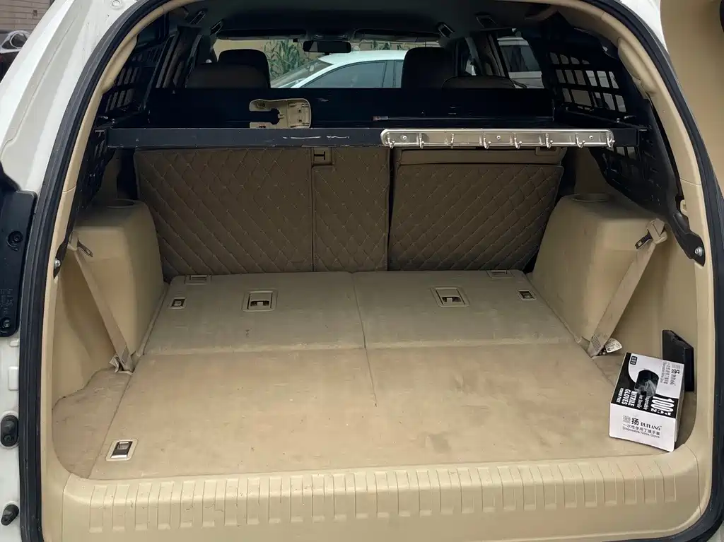 Toyota Prado (Import) — миниатюра 15