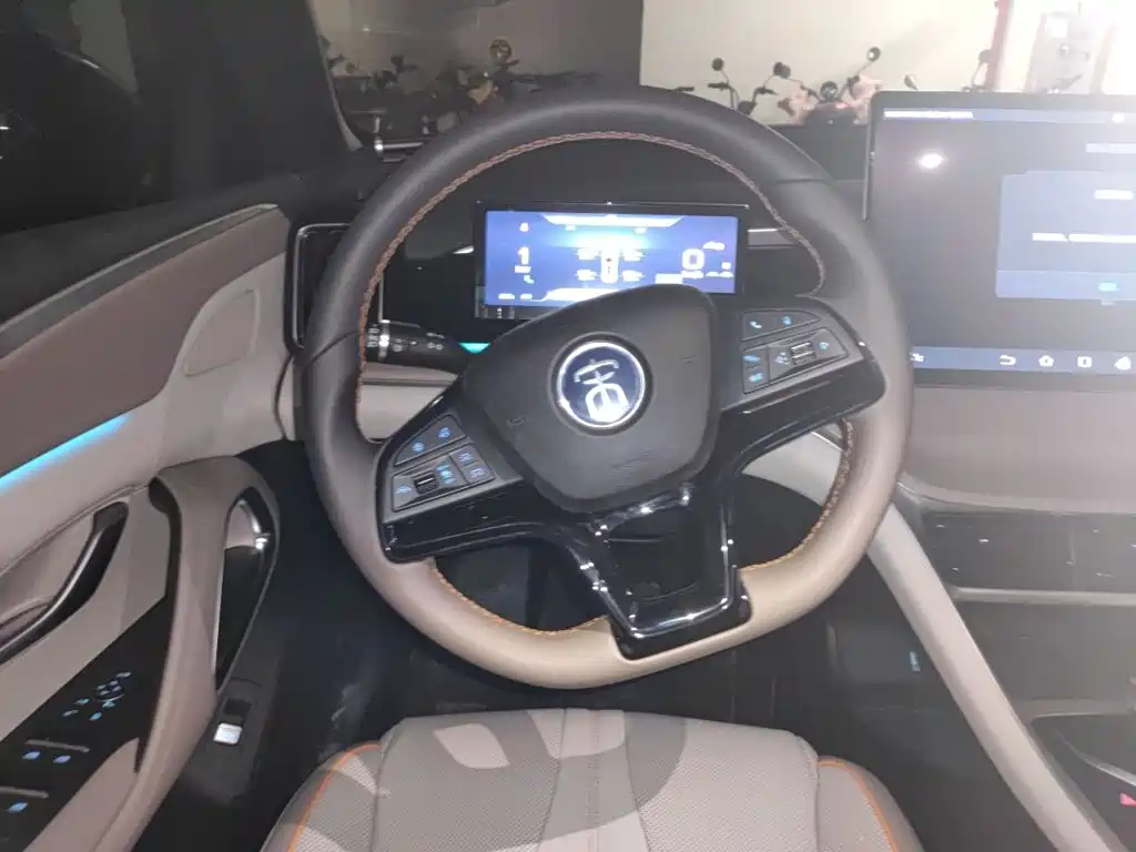 BYD Pro New Energy — миниатюра 6