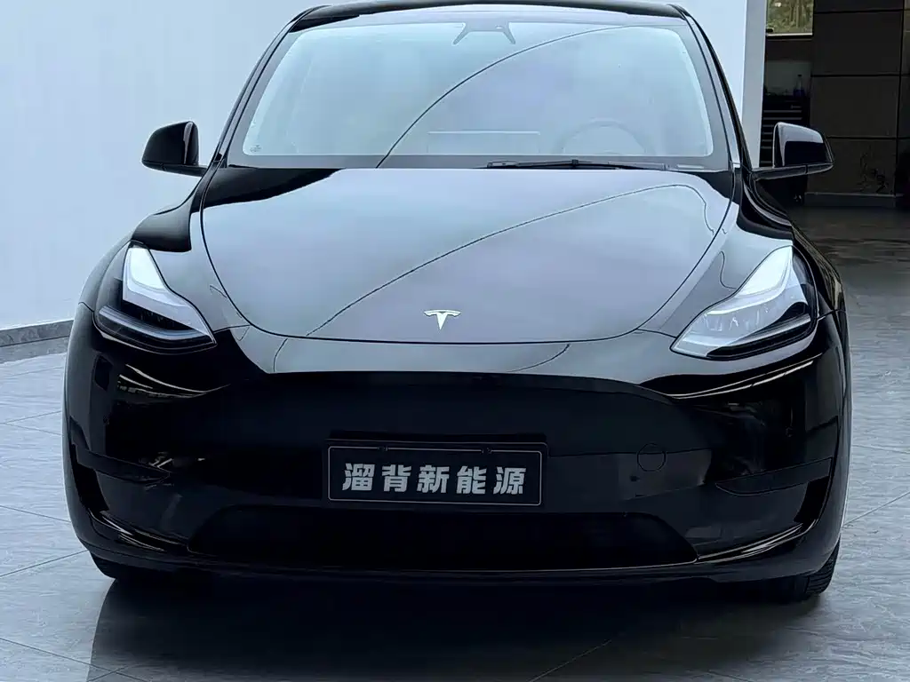Tesla Model Y — миниатюра 3
