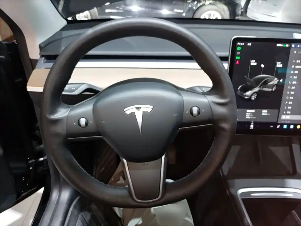 Tesla Model Y — миниатюра 11