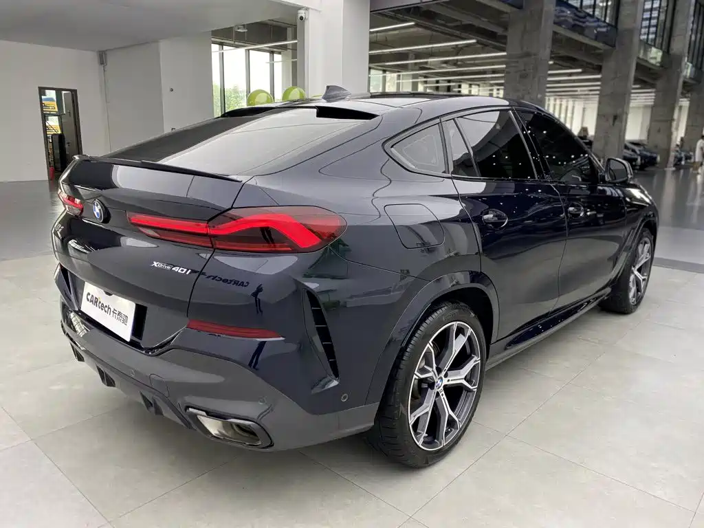 BMW X6 — миниатюра 12
