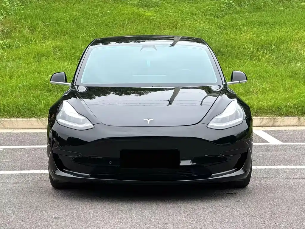 Tesla Model 3 — миниатюра 2