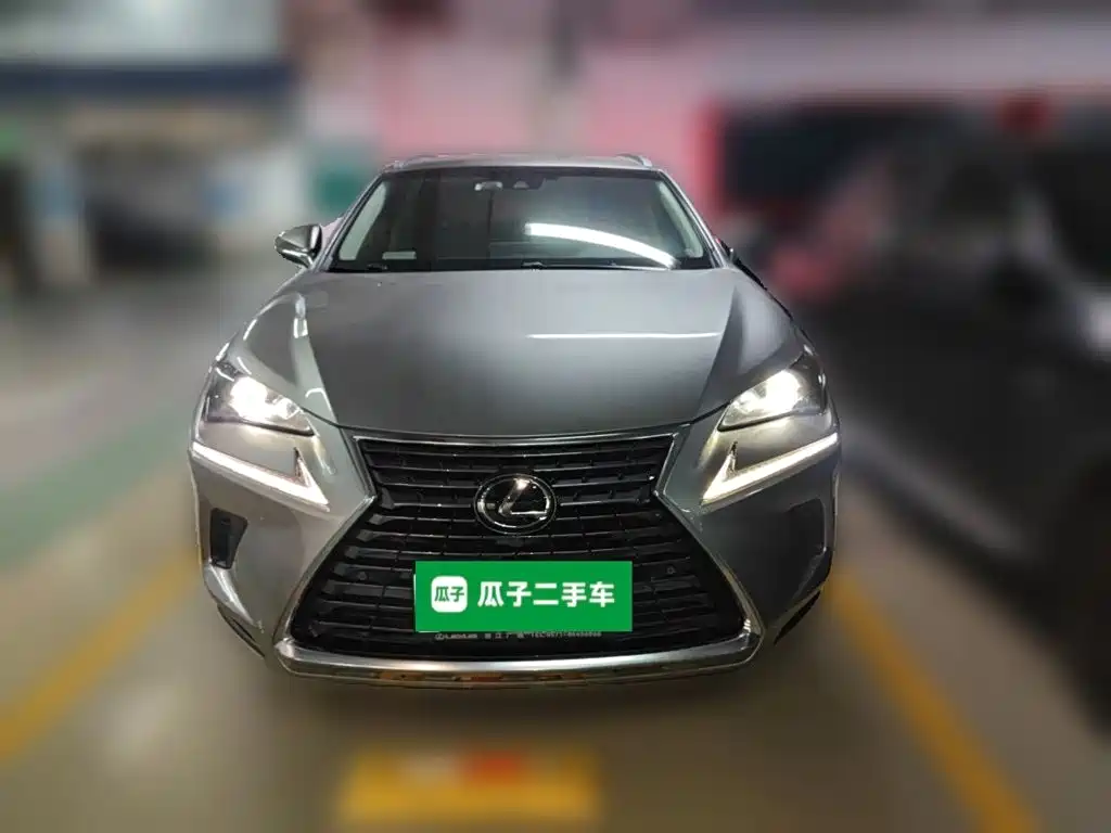 Lexus NX — миниатюра 24