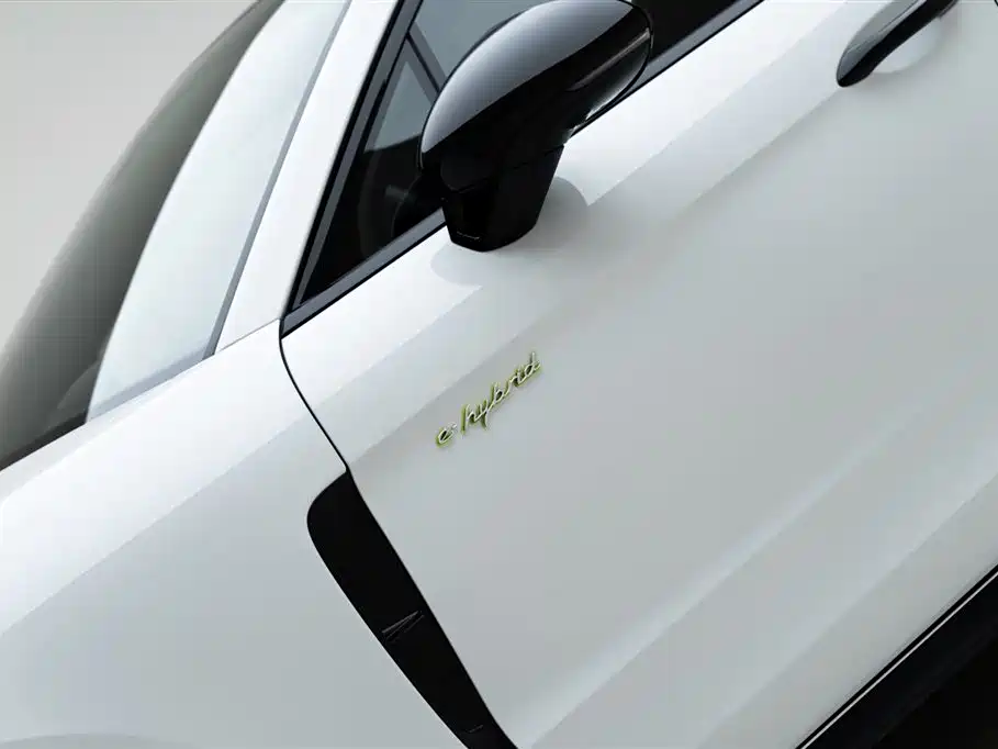 Porsche Panamera 2021 Panamera 4S E-Hybrid Executive Long Wheelbase 2.9T