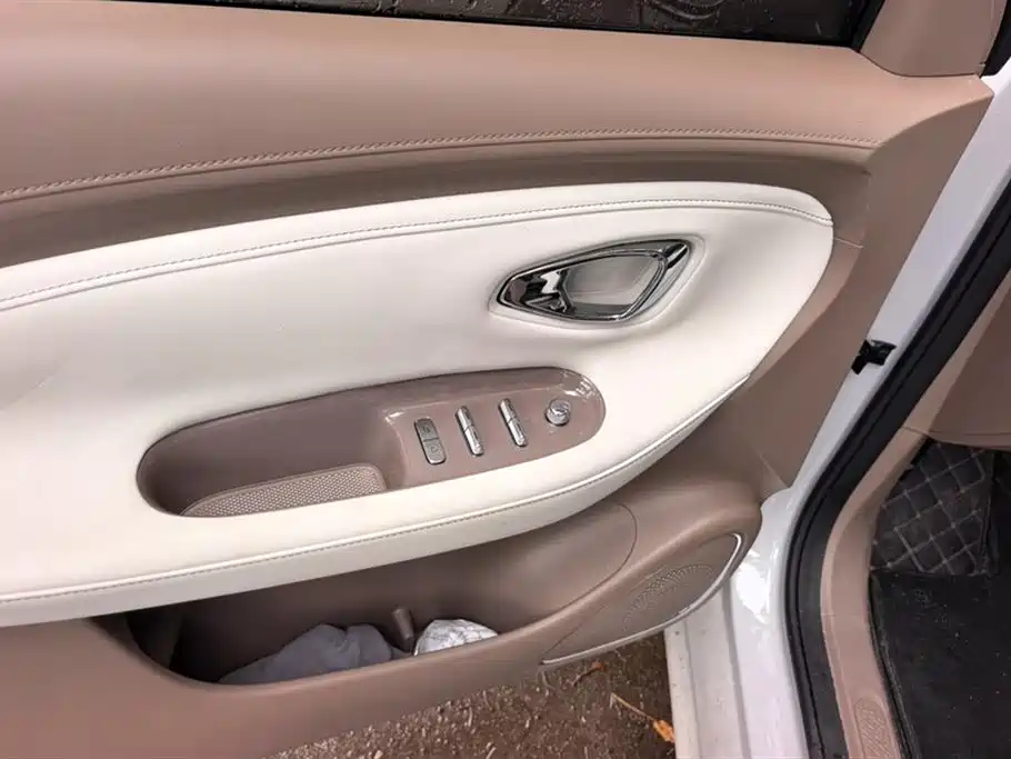 Wuling BinguoPro Pro 2026 330km Premium