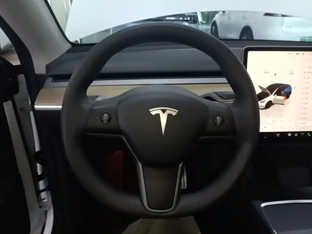 Tesla Model Y — миниатюра 11