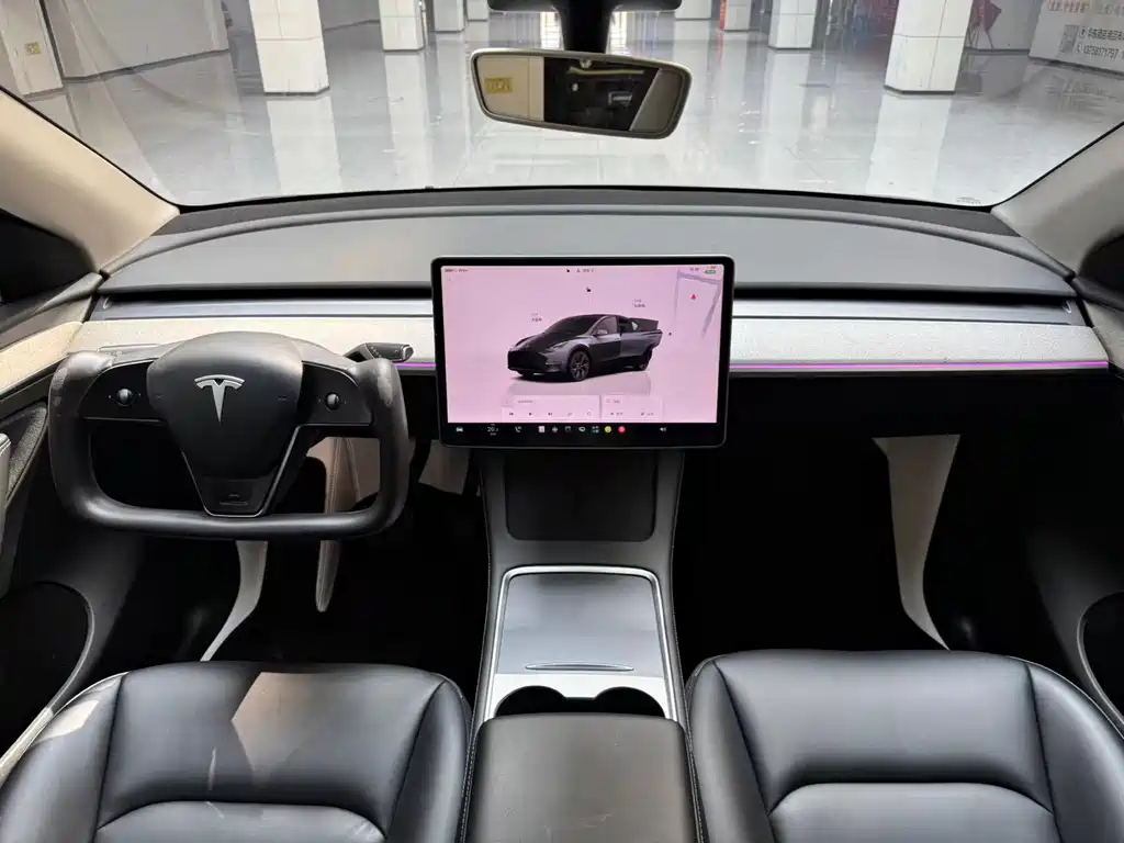 Tesla Model Y — миниатюра 14