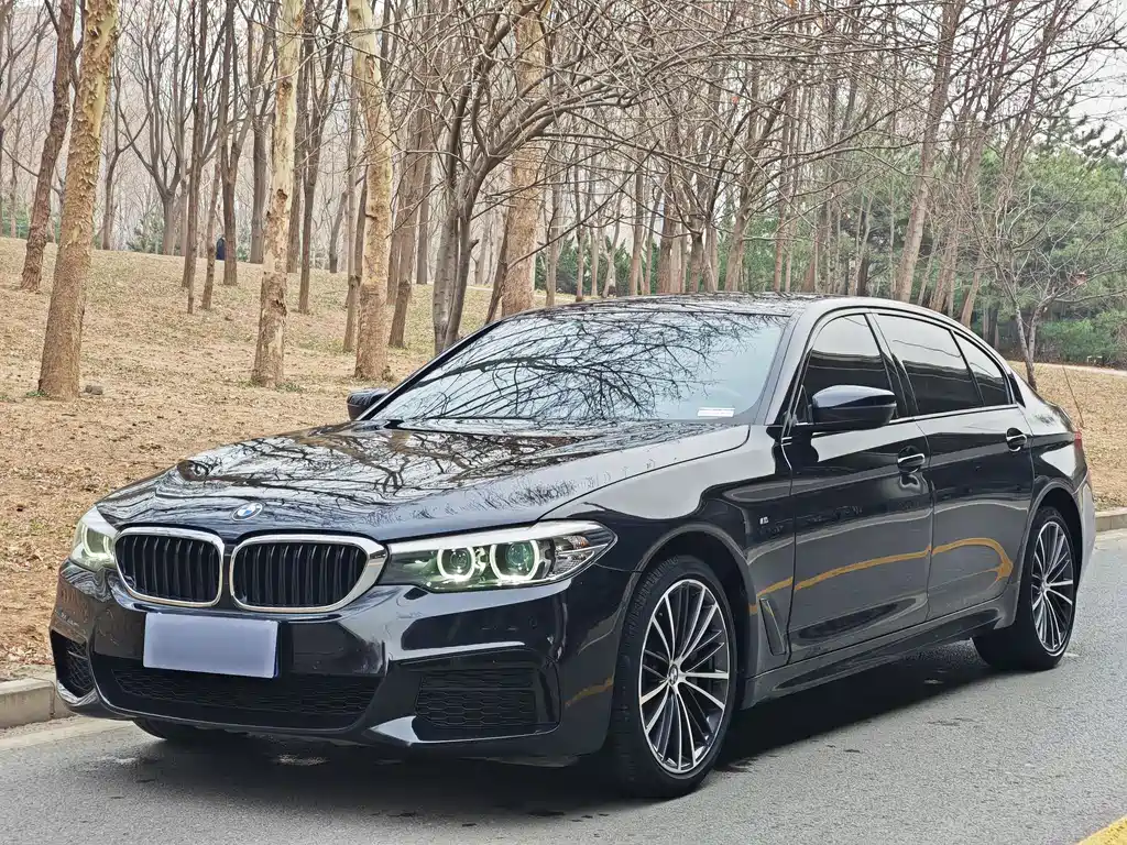 BMW 5 Series 2019